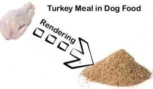 The Truth About Turkey Meal in Dog Food - DogNeedsBest