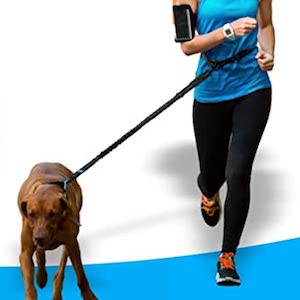 The 5 Best Dog Leashes for Hiking in 2021 - DogNeedsBest