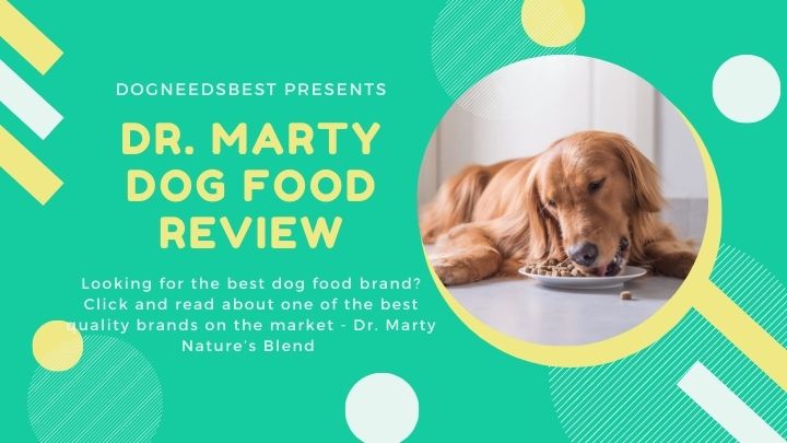 Dr. Marty Nature's Blend Reviews – Is It Worth It?